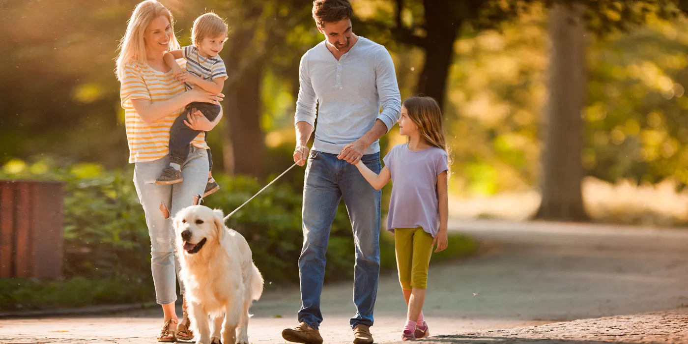 Levitan Chiropractic