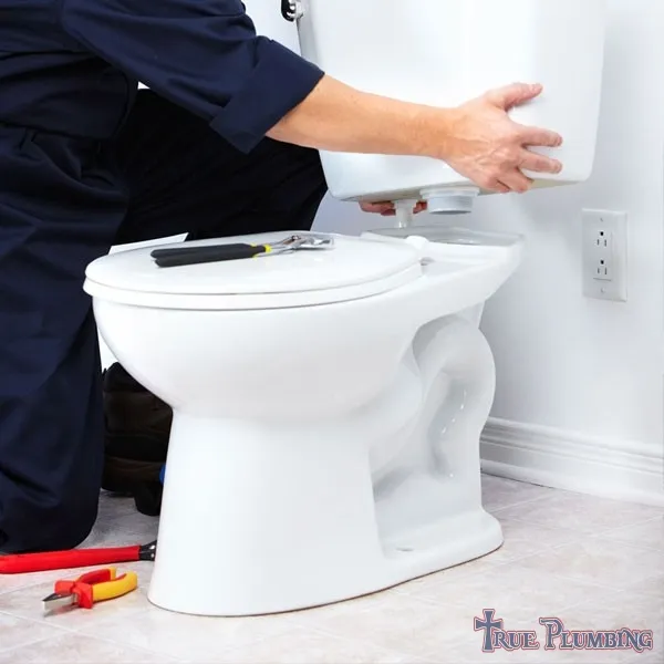 True Plumbing