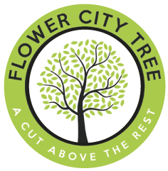 Flower City Tree logo
