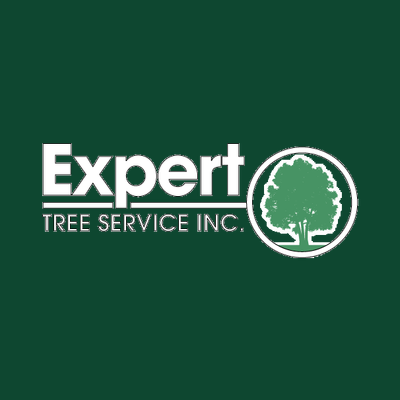 Expert Tree logo