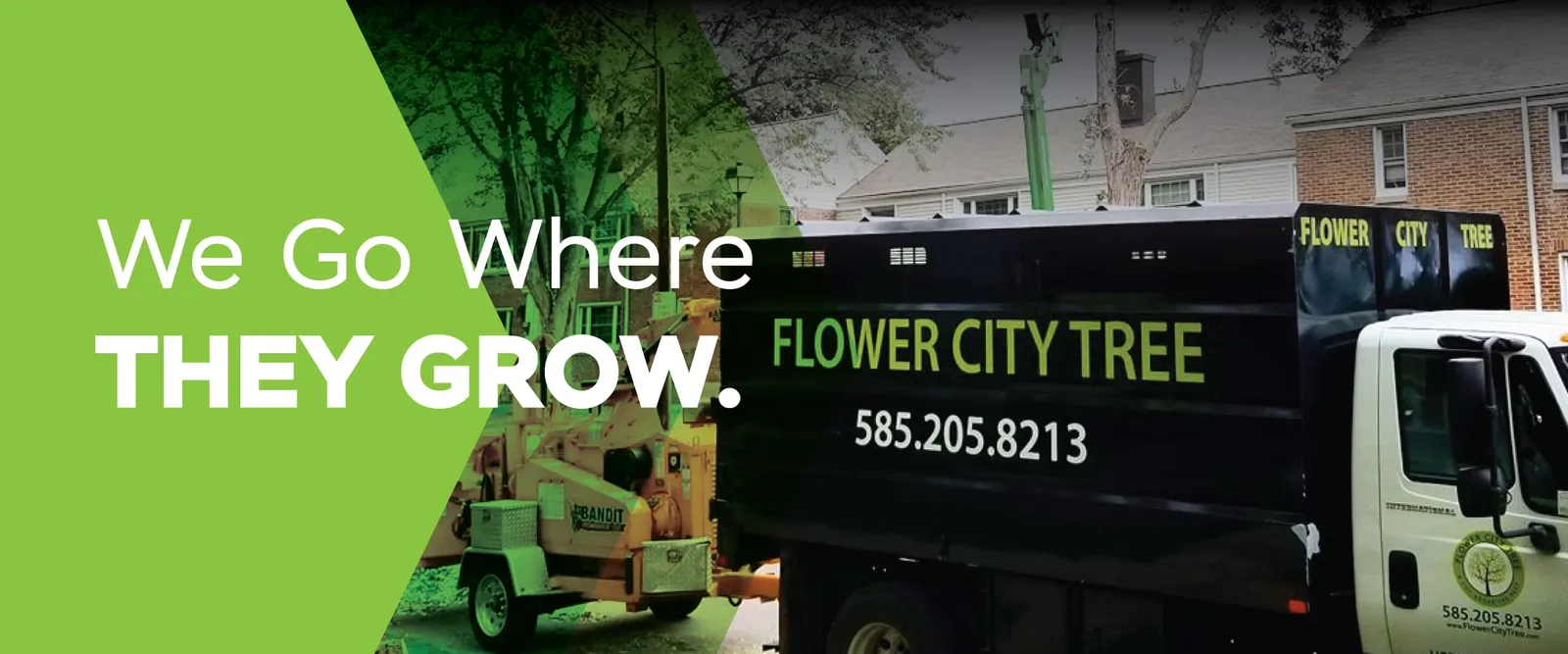 Flower City Tree