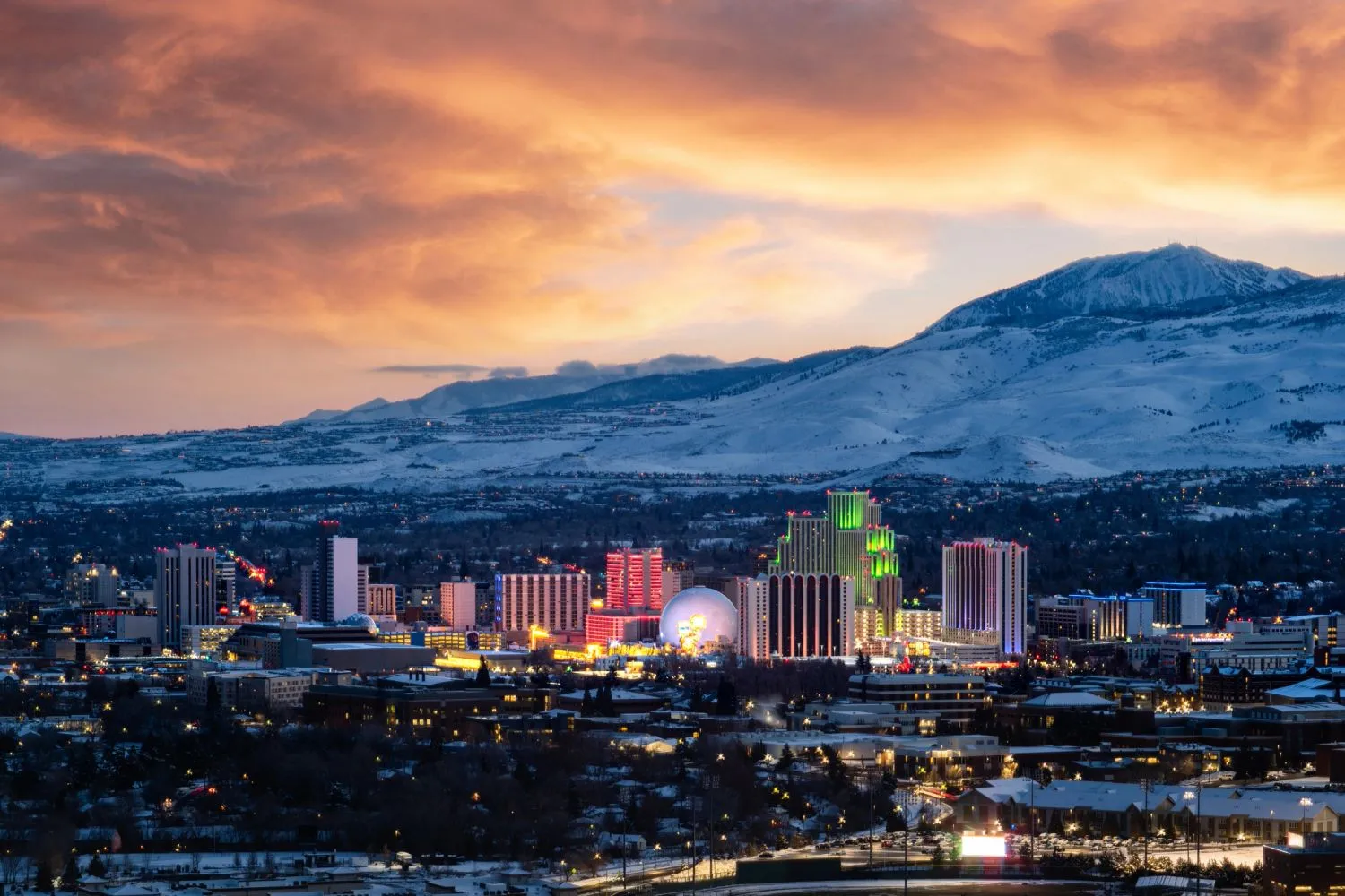 Northern Nevada Pest Control