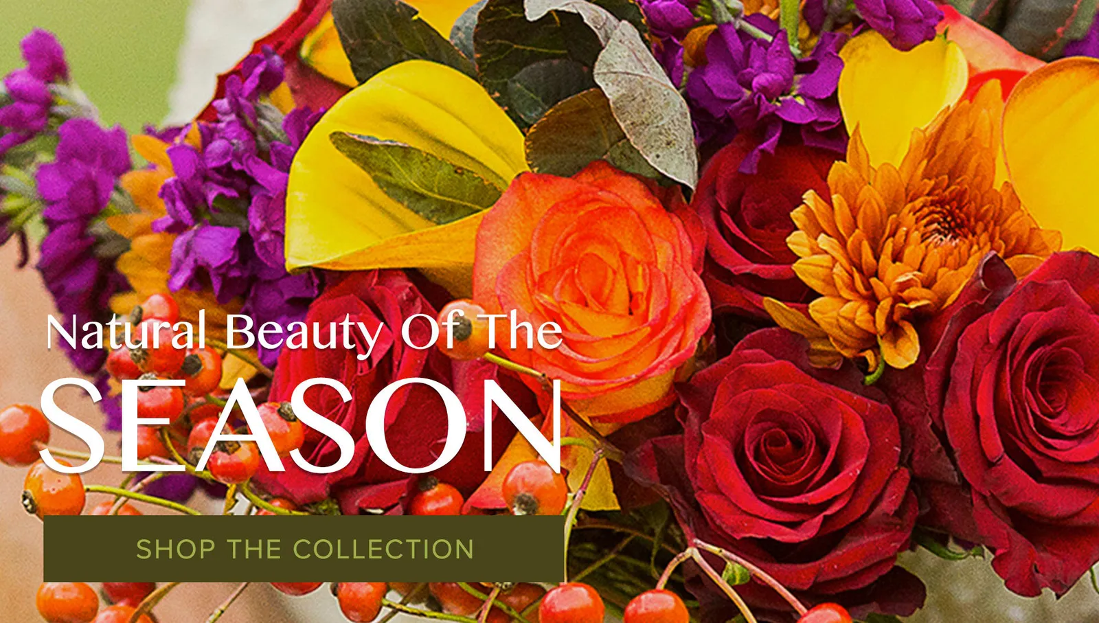 Montclair Flowers and Gifts