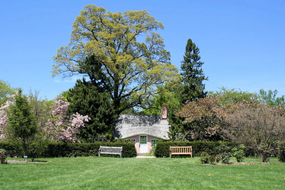 Quality Tree Services