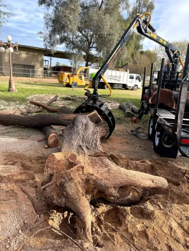 AZ Tree & Hardscape Co