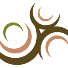 AccountSolve logo