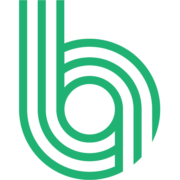 Bearing Insurance logo