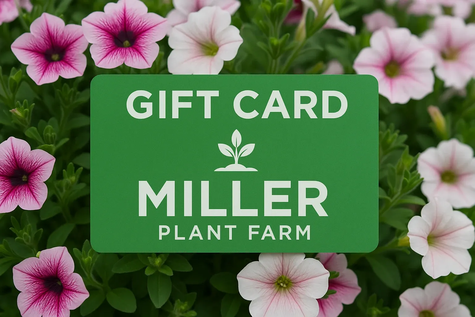 Miller Plant Farm