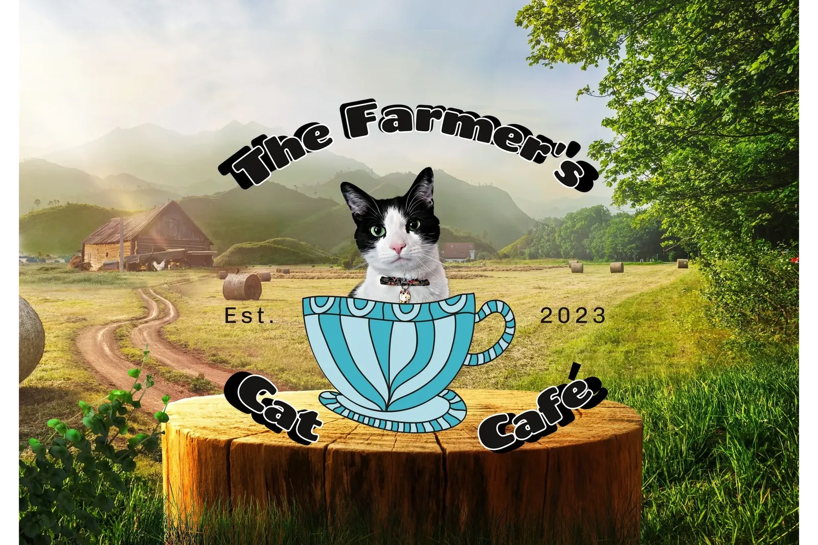 Farmer's Cat Cafe