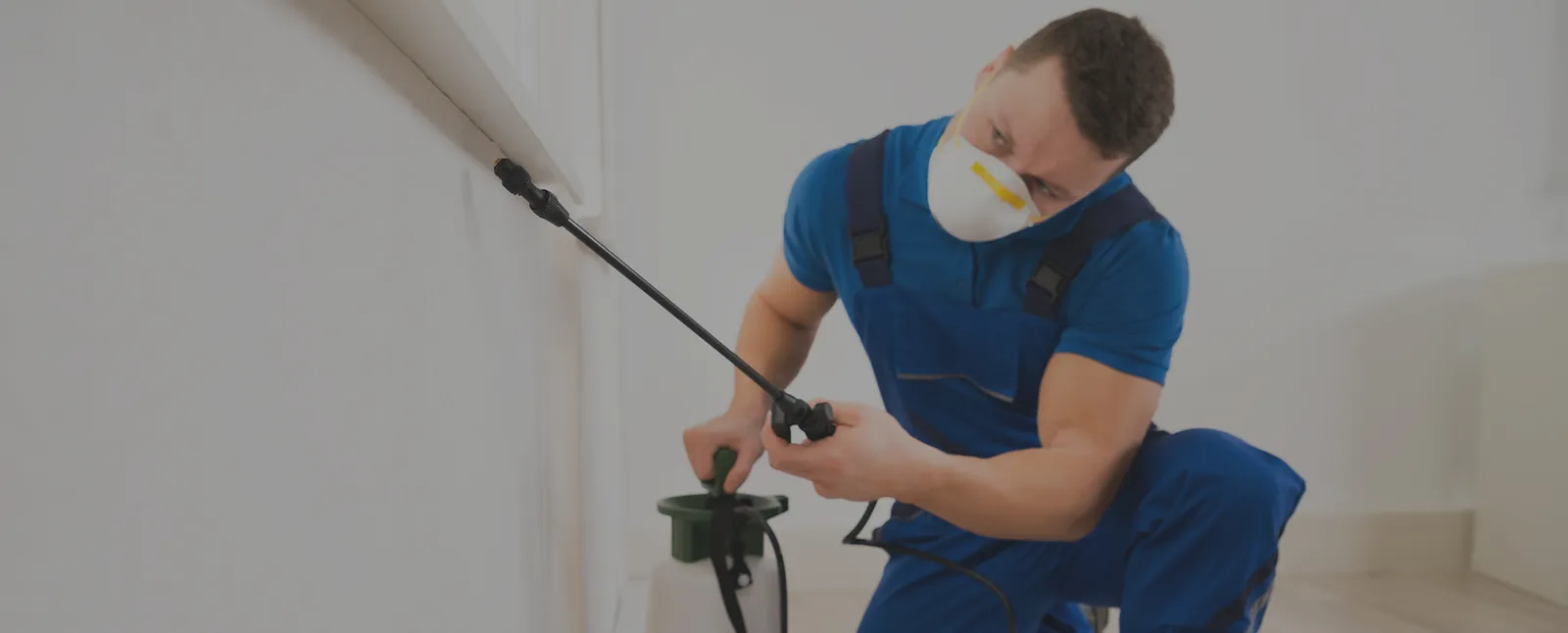 KILLER B’S TOTAL PEST CONTROL