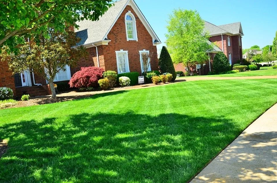 JB Lawn Care