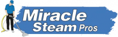 Miracle Steam Pros logo