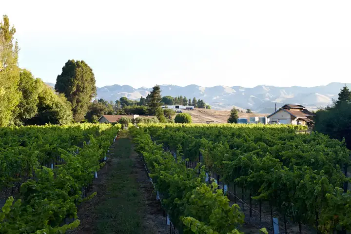 Claiborne & Churchill Vintners