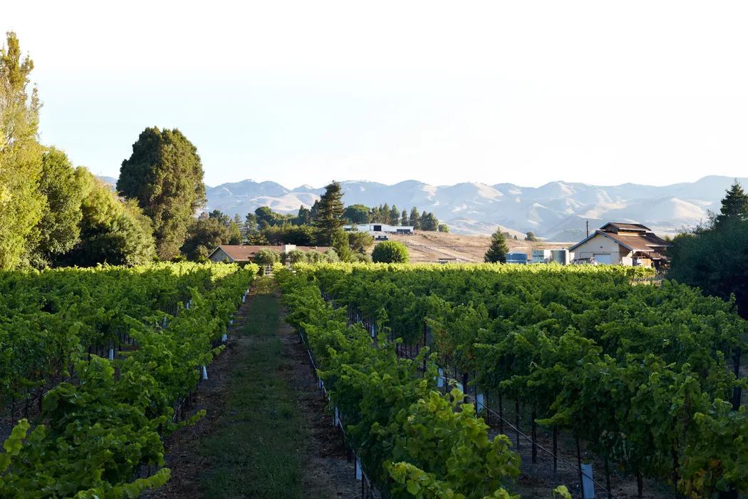 Claiborne & Churchill Vintners
