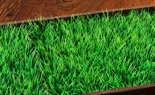 Central Coast Synthetic Turf