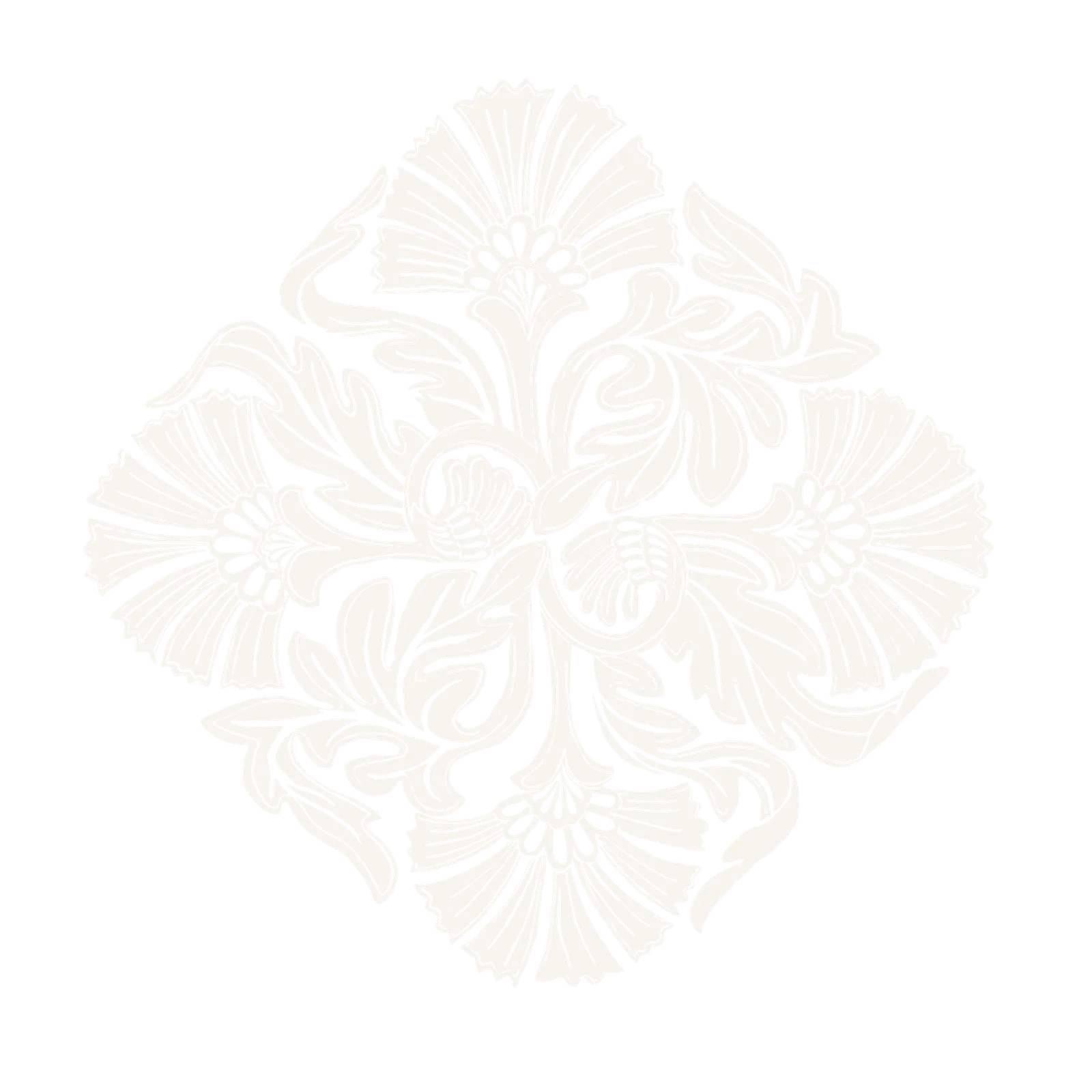 Baileyana