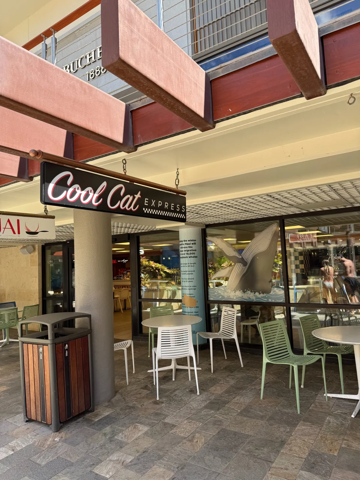 Cool Cat Cafe