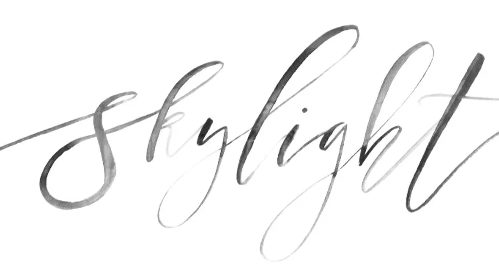 Skylight Salon