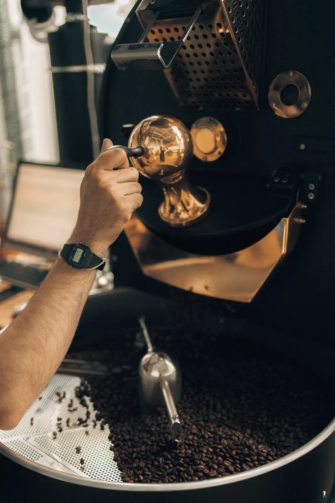 White Box Roastery