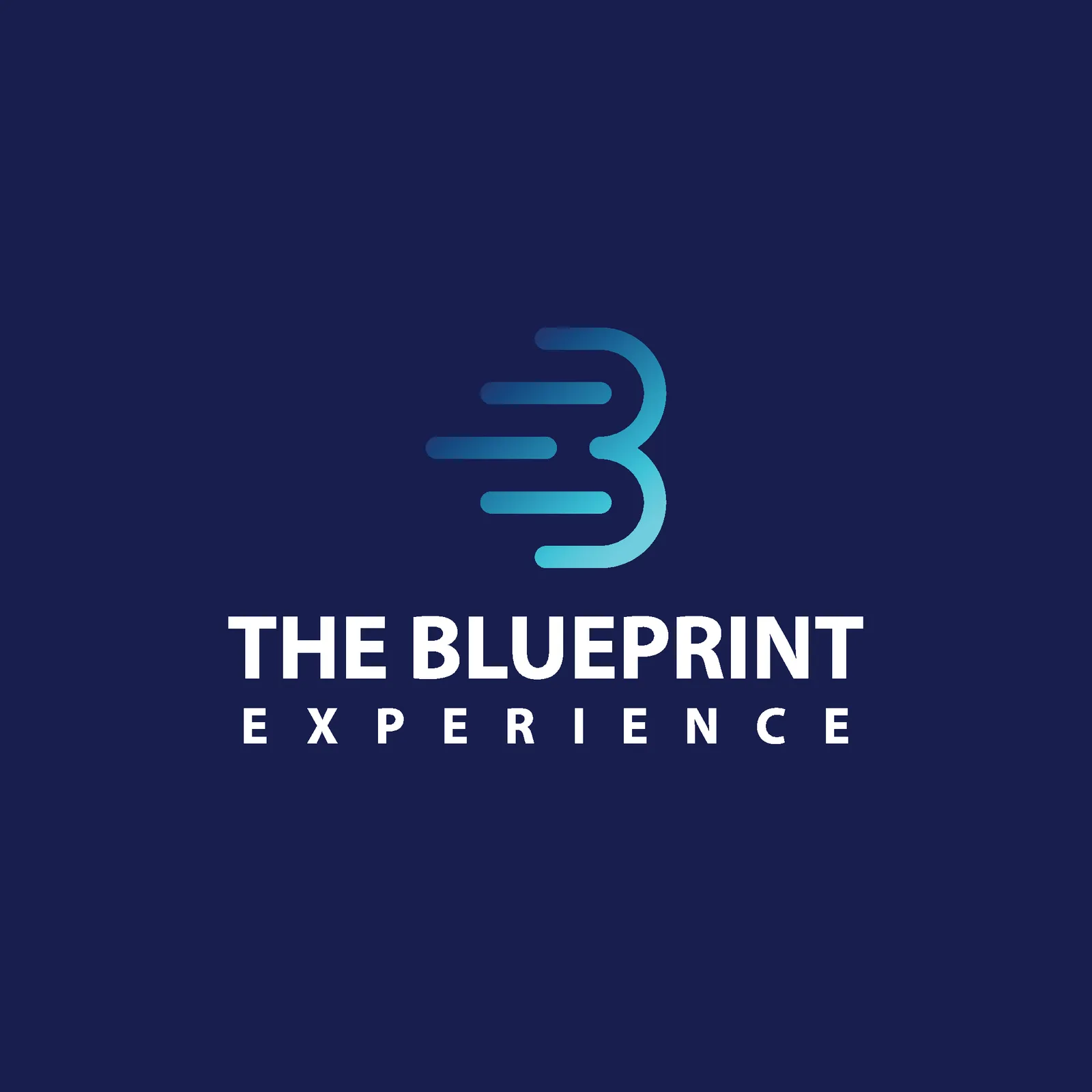 The Blueprint Experience