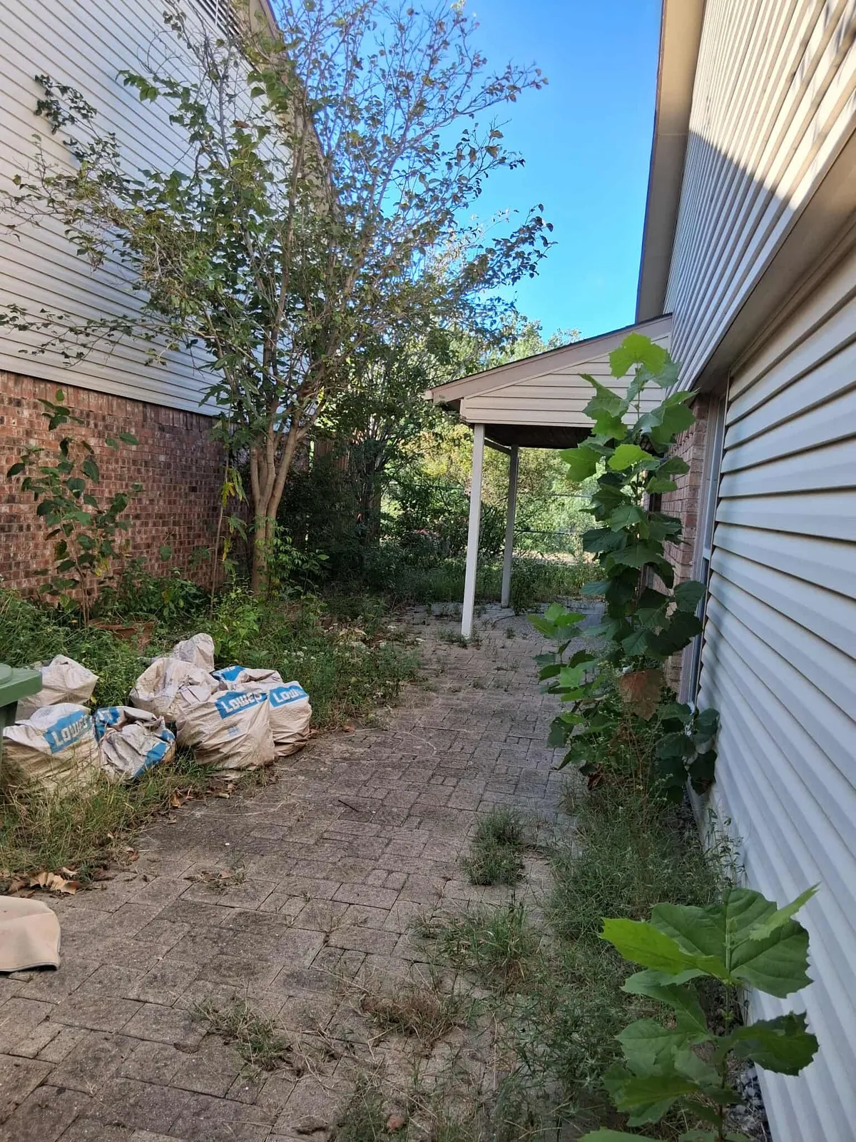 Alvaro Lawn Care & Tree Services