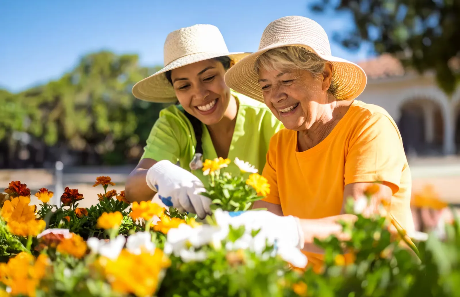 Home Helpers Home Care of Southeast Houston