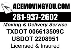 Ace Moving You logo