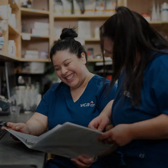 VCA Westside Animal Hospital