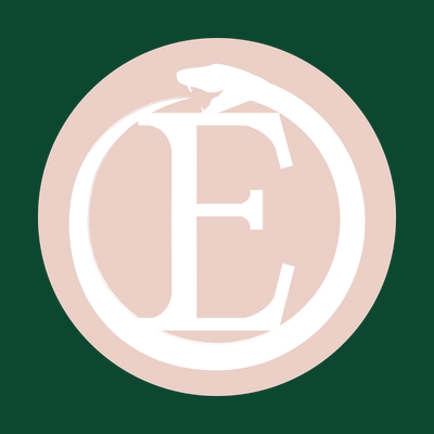 Envy new site logo