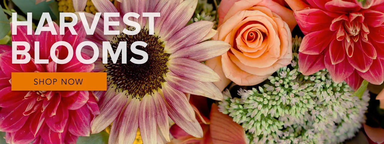 Paola’s Flowers and Events