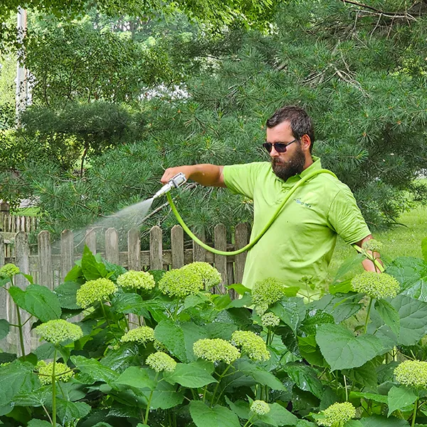 Be Green Pro