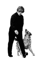 InStep Dog Training logo