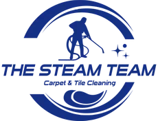 The Steam Team logo