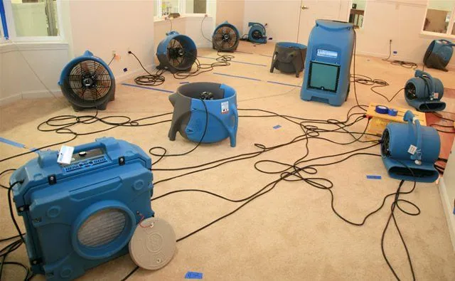 Louisville Carpet Cleaning & Flood Restoration