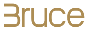 Bruce Wellness & Aesthetics logo