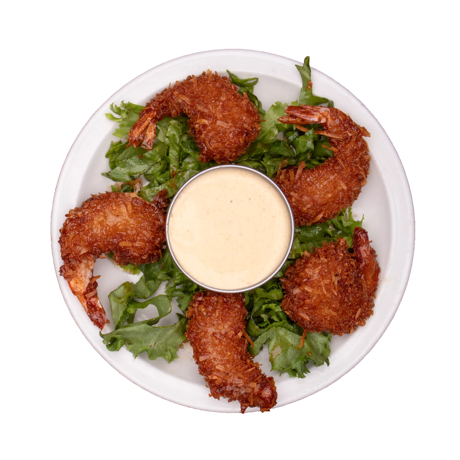 Rocky's Hot Chicken Shack
