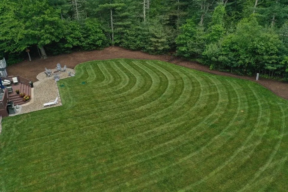 Swift Landscape and Design