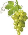 Groton Market logo