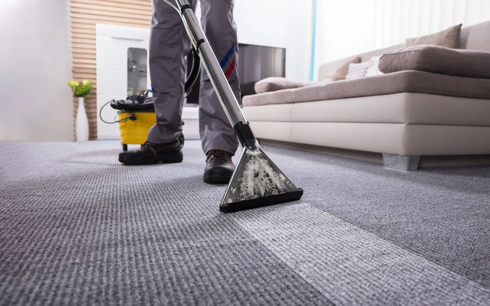 Desert Rose Carpet Cleaning