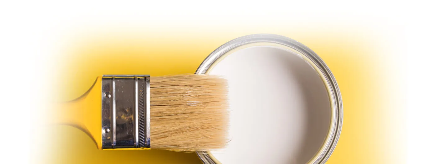 Pro Edge Painting
