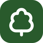Darry's Tree Service logo