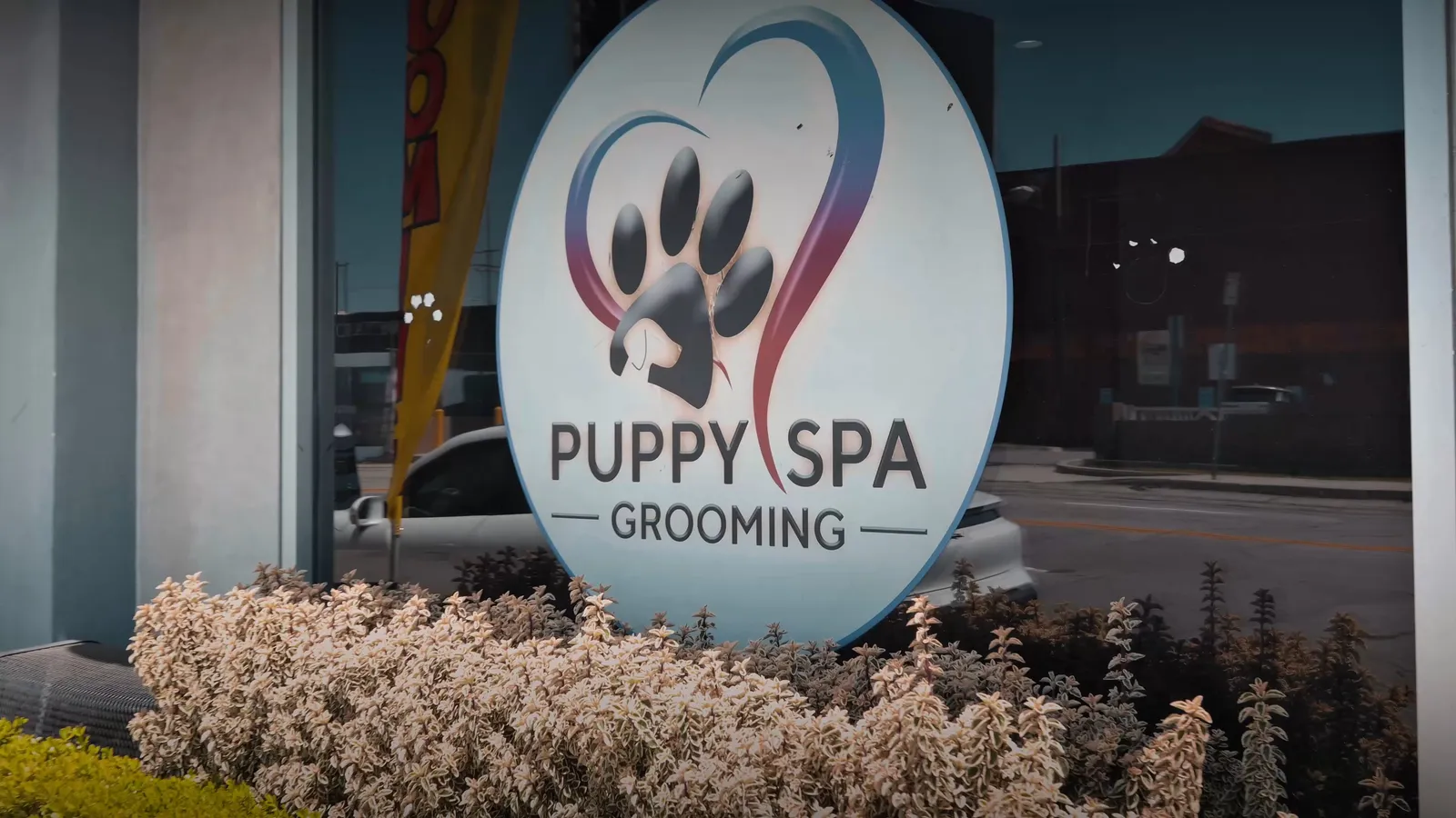 Puppy Spa
