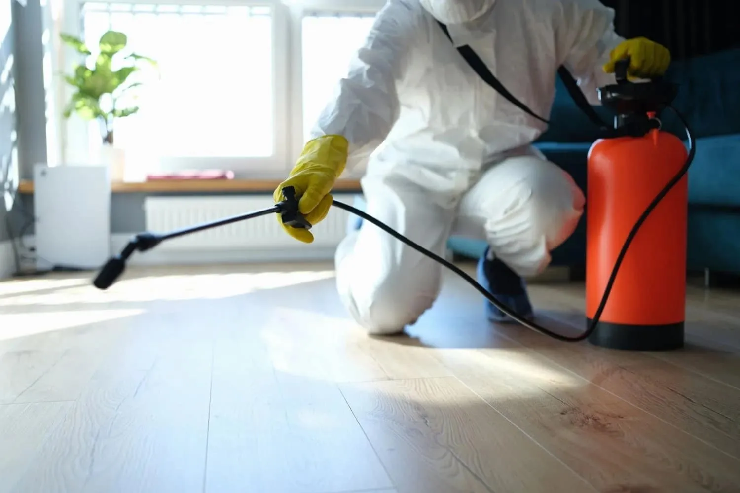 Mr Pest Control Los Angeles