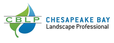 Casey & Company logo