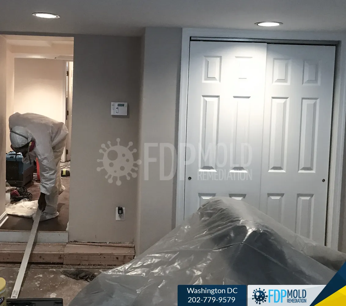 FDP Mold Remediation of DC