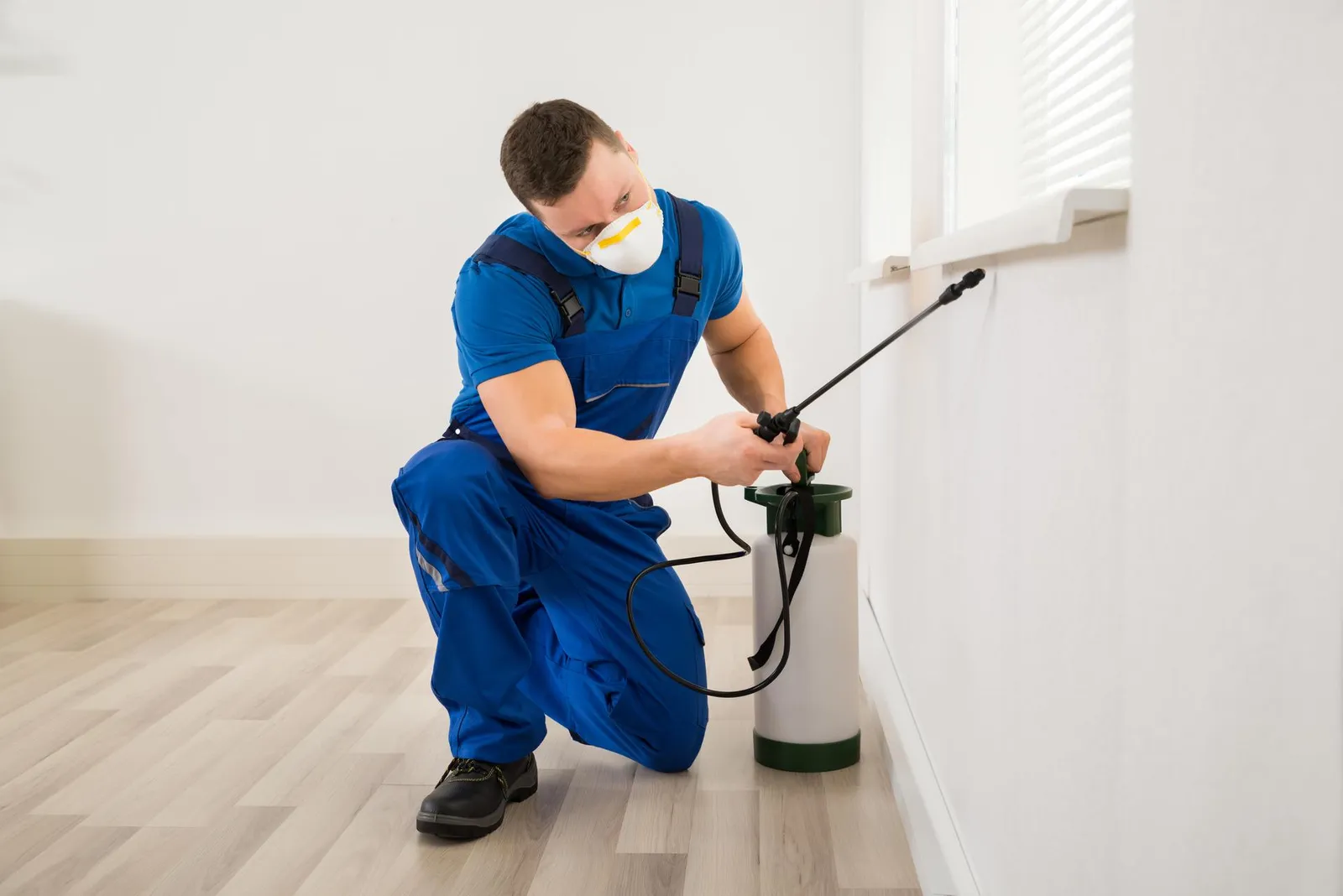 DC Pest Exterminator