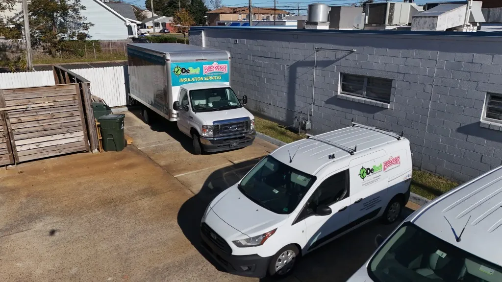 Detect Termite & Services