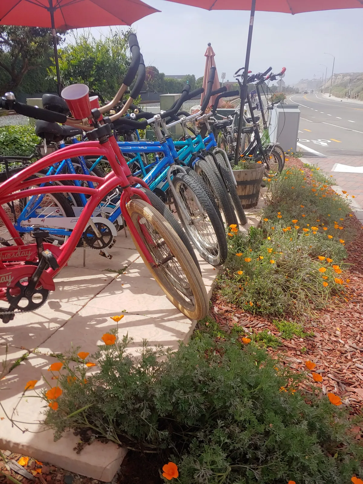 Bicyclessanclemente