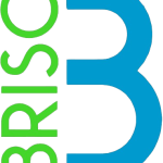 Brisc Plumbing logo