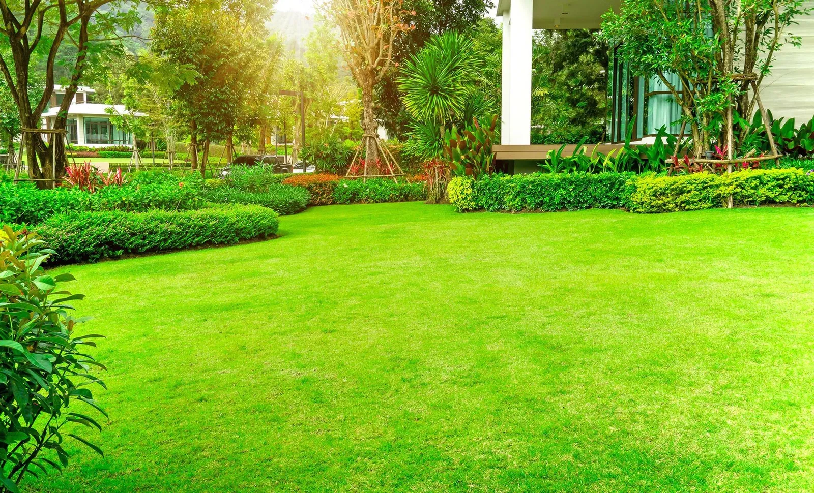 Clean Cut Lawn Care